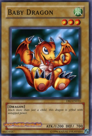 Baby Dragon.jpg