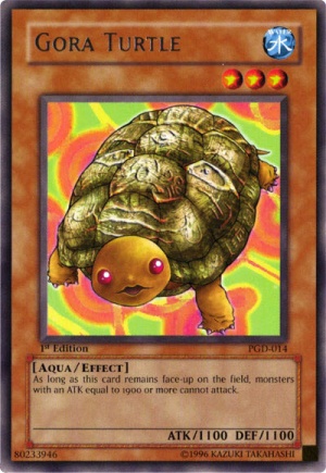 GoraTurtle.jpg